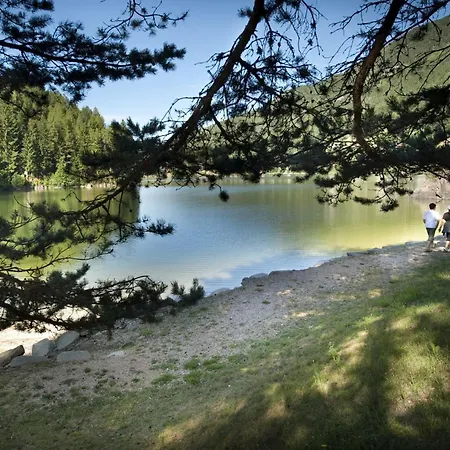 아파트 L'antica Canonica Di Casa Bernardi, Terrazzo Wi-fi Petfriendly Con Area Cani