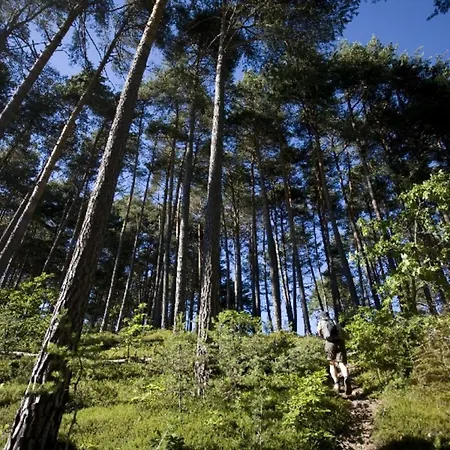 아파트 L'antica Canonica Di Casa Bernardi, Terrazzo Wi-fi Petfriendly Con Area Cani *