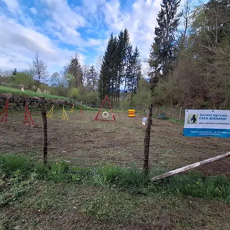 Antica Canonica Di Casa Bernardi Appartamento Trento