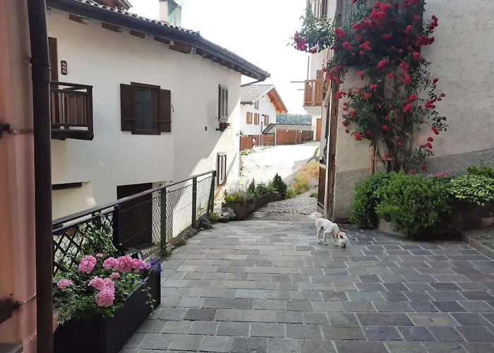 L'antica Canonica Di Casa Bernardi, Terrazzo Wi-fi Petfriendly Con Area Cani * Trente
