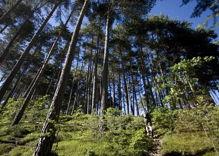 Appartement L'antica Canonica Di Casa Bernardi, Terrazzo Wi-fi Petfriendly Con Area Cani *
