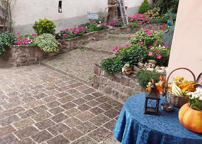 L'antica Canonica Di Casa Bernardi, Terrazzo Wi-fi Petfriendly Con Area Cani Trente